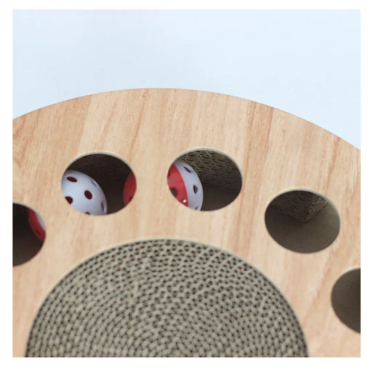 RASCADOR REDONDO INTERACTIVO